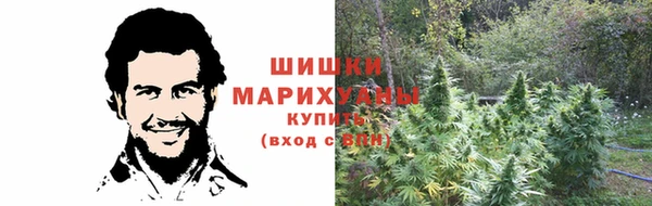 трава Армянск