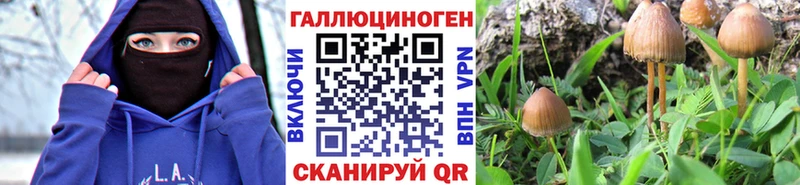 Галлюциногенные грибы Psilocybe  закладка  сайты даркнета официальный сайт  Николаевск 